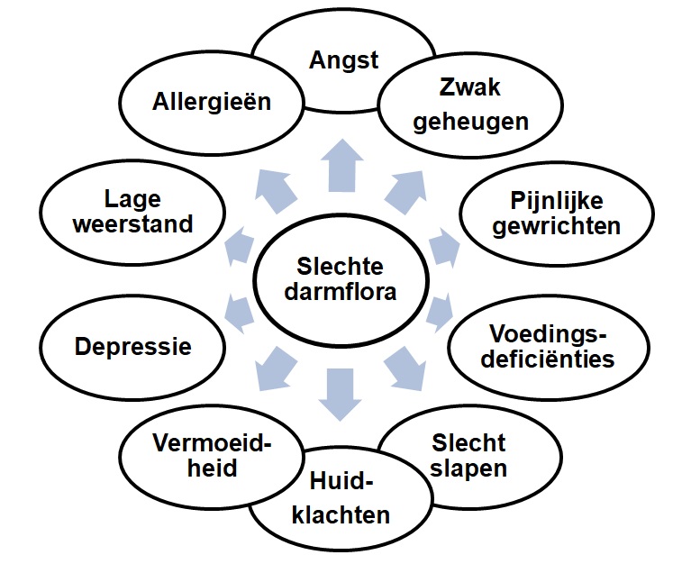 Online programma: De darm-brein expert - Mohammed Boulahrir - Afbeelding 4