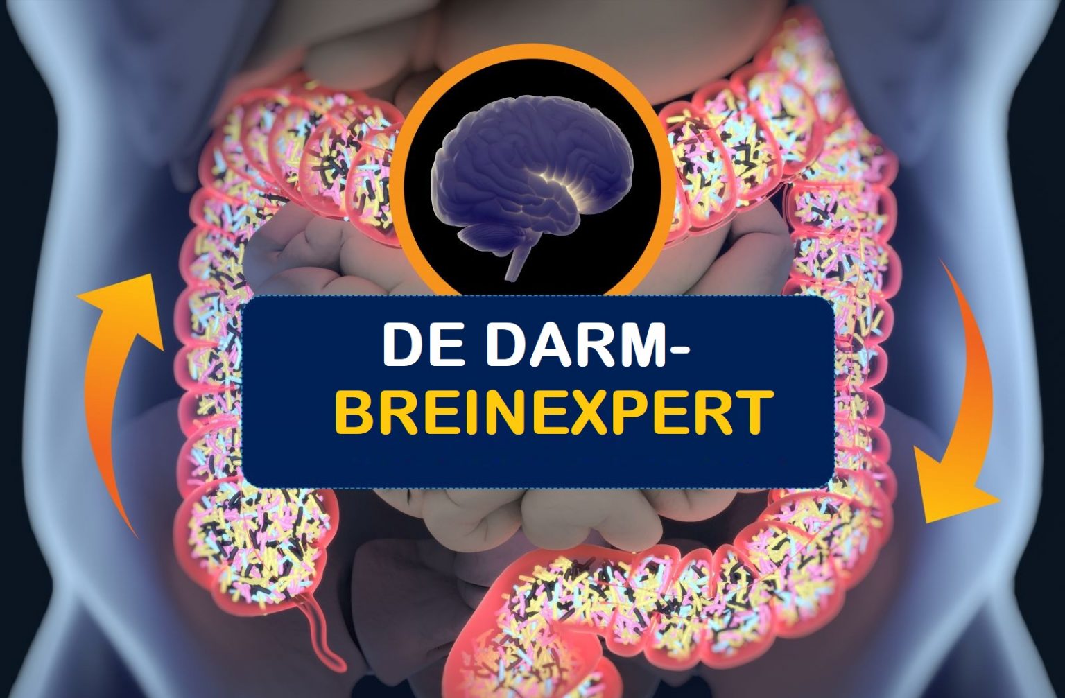 Online programma: De darm-brein expert - Mohammed Boulahrir